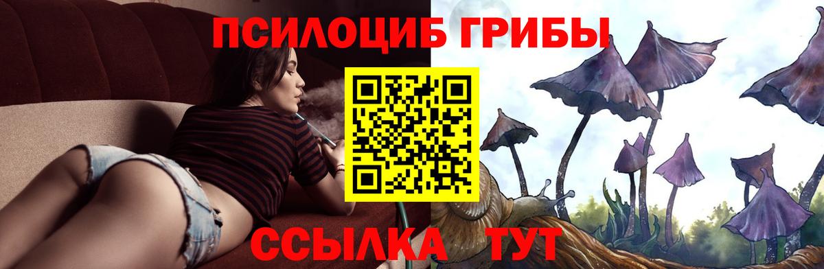 купить закладку  Галлюциногенные грибы Magic Shrooms  Вход с VPN  Псилоцибиновые грибы мицелий  Сертолово 